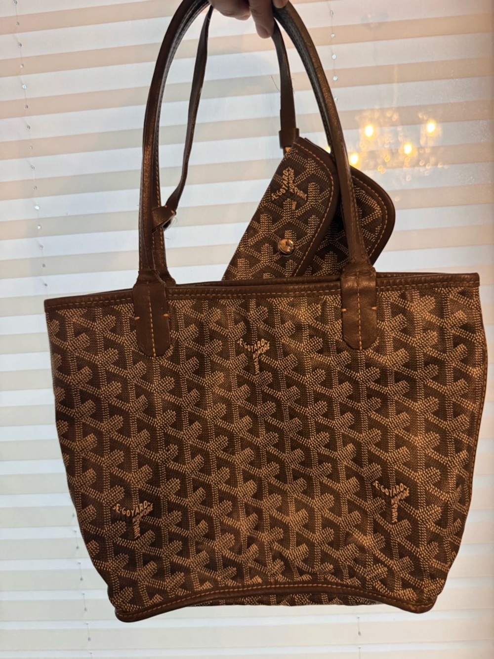 Goyard Mini Anjou Reversible Bag